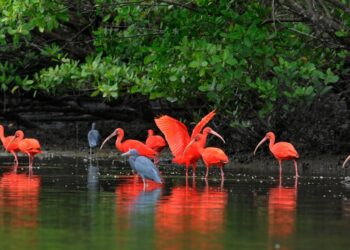 Estado reforça vocação sustentável e diversidade de atrações no guia oficial. Foto: Zig Koch