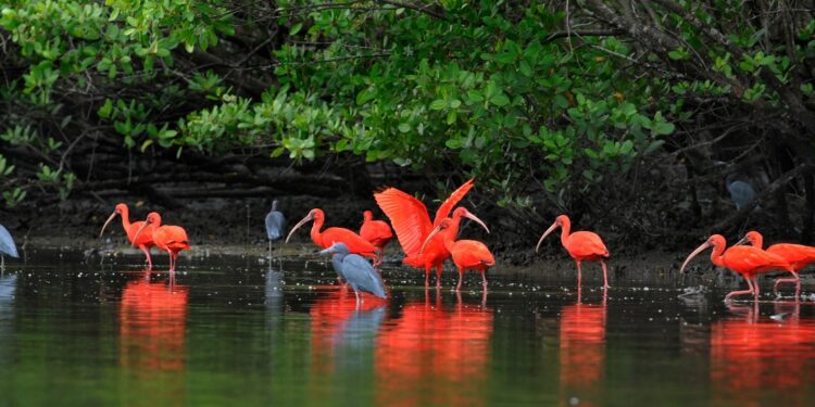 Estado reforça vocação sustentável e diversidade de atrações no guia oficial. Foto: Zig Koch