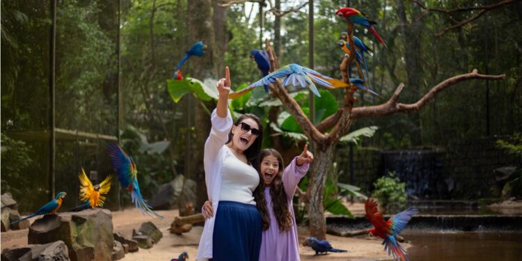 Alta procura e férias de verão impulsionam expectativa positiva para dezembro. Foto: Parque das Aves