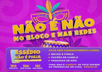 Estado mobiliza rede de proteção às mulheres durante o período carnavalesco. Foto: SEMIPI