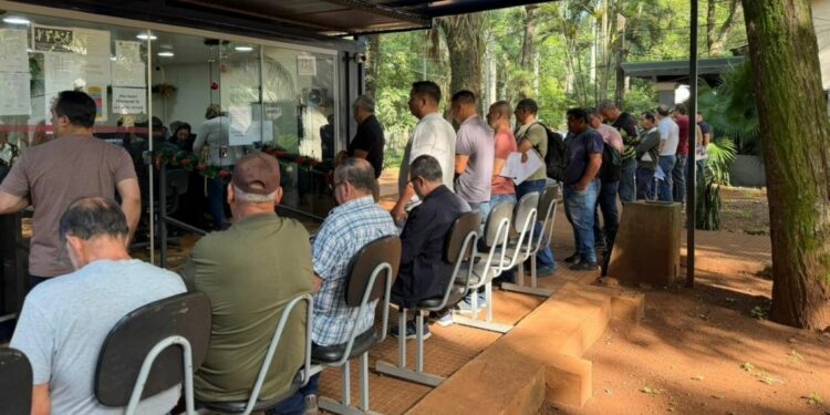 Foto: Divulgação.