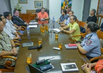 Foto: Divulgação.