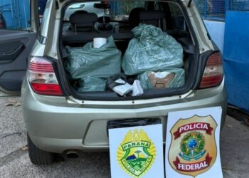 Foto: Divulgação / Polícia Federal.