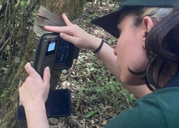 Monitoramento revela desafios para a conservação da fauna silvestre. Foto: Unicentro