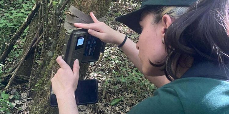 Monitoramento revela desafios para a conservação da fauna silvestre. Foto: Unicentro