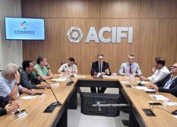Plenária reuniu instituições municipais, estaduais e federais - foto: assessoria/divulgação