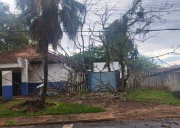 Estrutura danificada por árvore simboliza abandono público.. Foto: Divulgação