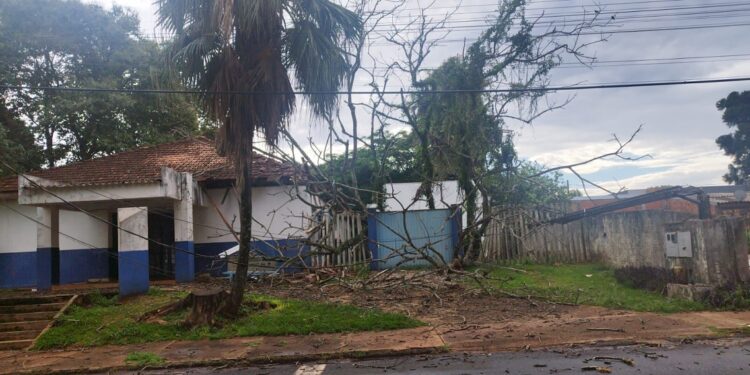 Estrutura danificada por árvore simboliza abandono público.. Foto: Divulgação Estrutura danificada por árvore simboliza abandono público.. Foto: Divulgação