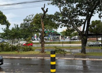 Bairros das regiões Central e Leste foram os únicos com registro de chuva; equipes seguem nas ruas para limpeza urbana. Foto: defesa Civil. Bairros das regiões Central e Leste foram os únicos com registro de chuva; equipes seguem nas ruas para limpeza urbana. Foto: defesa Civil.