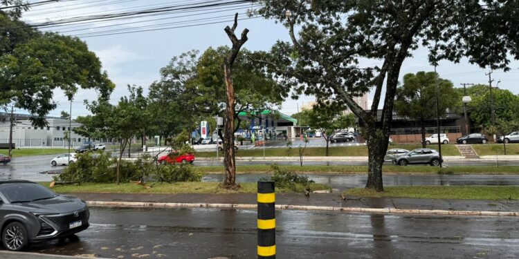 Bairros das regiões Central e Leste foram os únicos com registro de chuva; equipes seguem nas ruas para limpeza urbana. Foto: defesa Civil.