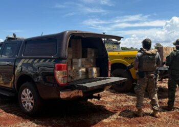 Foto: Divulgação / Polícia Federal.