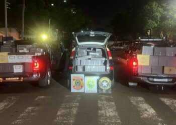 Foto: Divulgação / Polícia Federal.