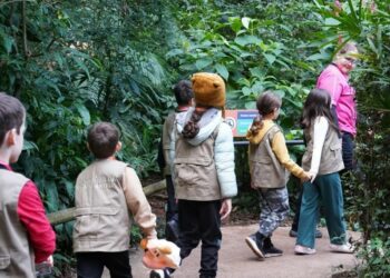Foto: Parque das Aves.