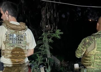 Foto: Divulgação / Polícia Federal.