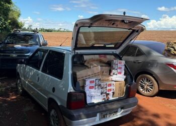 Foto: Divulgação / Polícia Federal.