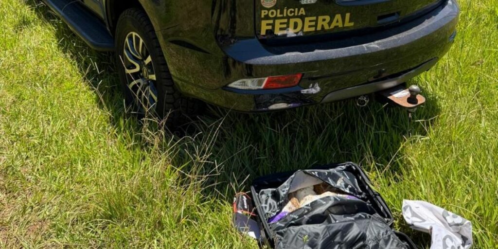 Foto: Divulgação / Polícia Federal.