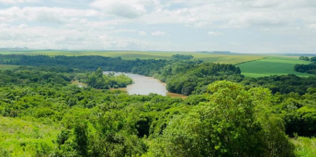 Decisão mantém aplicação do Código Florestal no Paraná. Foto: Senar.