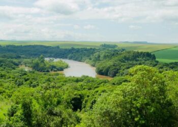Decisão mantém aplicação do Código Florestal no Paraná. Foto: Senar.