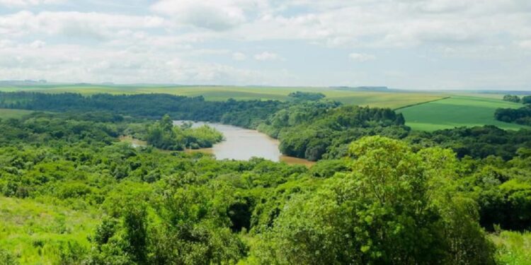 Decisão mantém aplicação do Código Florestal no Paraná. Foto: Senar. Decisão mantém aplicação do Código Florestal no Paraná. Foto: Senar.