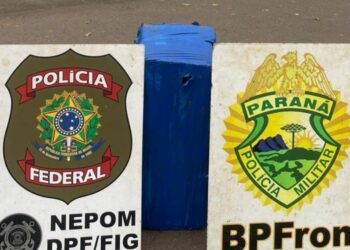 Foto: Divulgação / Polícia Federal.