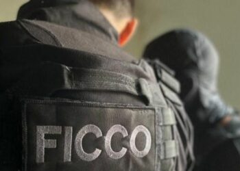 Foto: Divulgação.