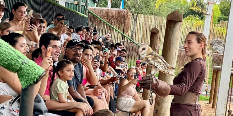 Visitantes aproveitam a imersão na Floresta dos Primatas após contribuírem com a causa solidária. Foto: Eco Park Visitantes aproveitam a imersão na Floresta dos Primatas após contribuírem com a causa solidária. Foto: Eco Park