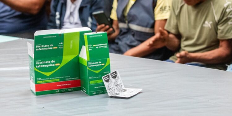 Primeiro lote do medicamento contra malária é transportado para o Território Yanomami. Foto: Fábio Miranda/MS Primeiro lote do medicamento contra malária é transportado para o Território Yanomami. Foto: Fábio Miranda/MS