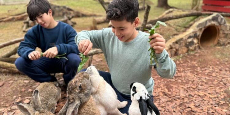 Foto: Eco Park Foz. Foto: Eco Park Foz.