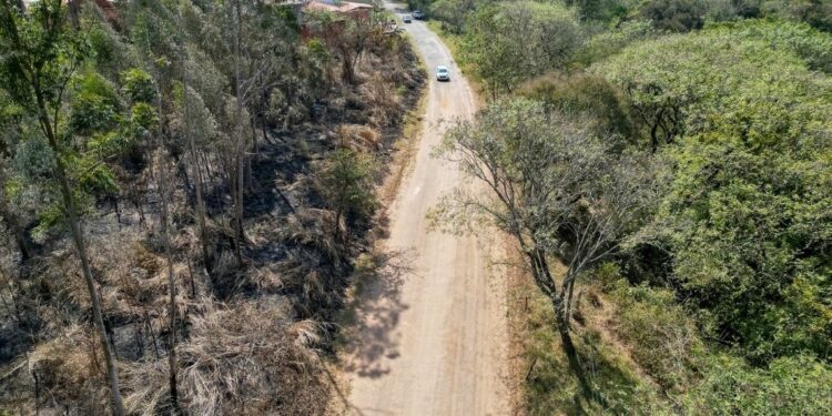 Estrada rural de Jacarezinho, no Norte Pioneiro. Foto: William Brisida/Itaipu Binacional. Estrada rural de Jacarezinho, no Norte Pioneiro. Foto: William Brisida/Itaipu Binacional.