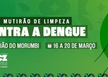Foto: Divulgação.