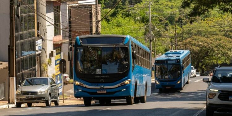 Foto: Divulgação.