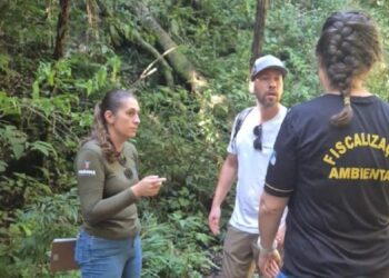 landestinas degradam a fauna e flora da Serra do Mar; IAT intensifica bloqueios e autuações. Foto: IAT