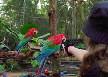 Natureza e turismo marcam opções de lazer. Foto:Parque das Aves.