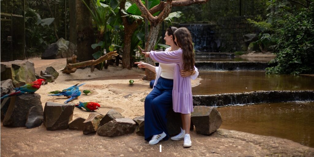 Ações especiais no borboletário ampliaram a sensibilização ambiental durante o mês de março. Foto: Parque das Aves.