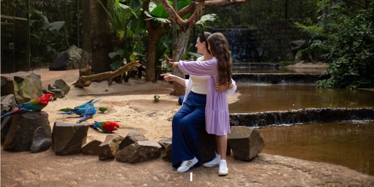 Ações especiais no borboletário ampliaram a sensibilização ambiental durante o mês de março. Foto: Parque das Aves. Ações especiais no borboletário ampliaram a sensibilização ambiental durante o mês de março. Foto: Parque das Aves.