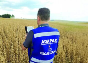 Entidade garante sanidade animal e vegetal no Estado. Foto: Sistema Faep.