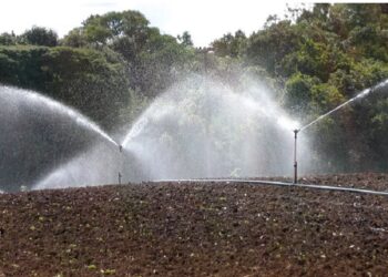 A outorga d’água garante que a captação para irrigação ocorra dentro dos limites legais e ambientais. Foto: Sistema Faep.
