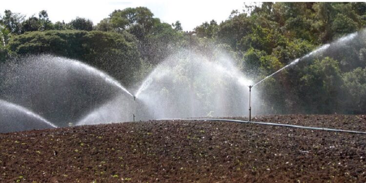 A outorga d’água garante que a captação para irrigação ocorra dentro dos limites legais e ambientais. Foto: Sistema Faep.