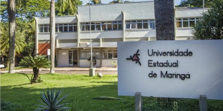 Provas objetivas e redação serão aplicadas na tarde de 12 de julho. Foto: UEM Provas objetivas e redação serão aplicadas na tarde de 12 de julho. Foto: UEM