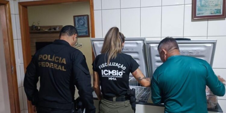 Foto: Polícia Federal. Foto: Polícia Federal.