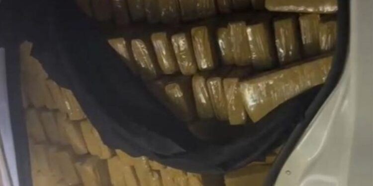 Foto: Polícia Federal.