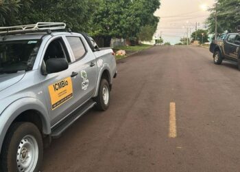 Foto: Polícia Federal.