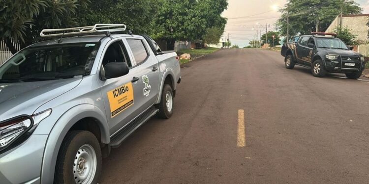 Foto: Polícia Federal. Foto: Polícia Federal.